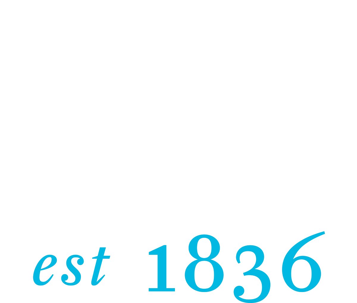 Small_OHC_Mark_White2